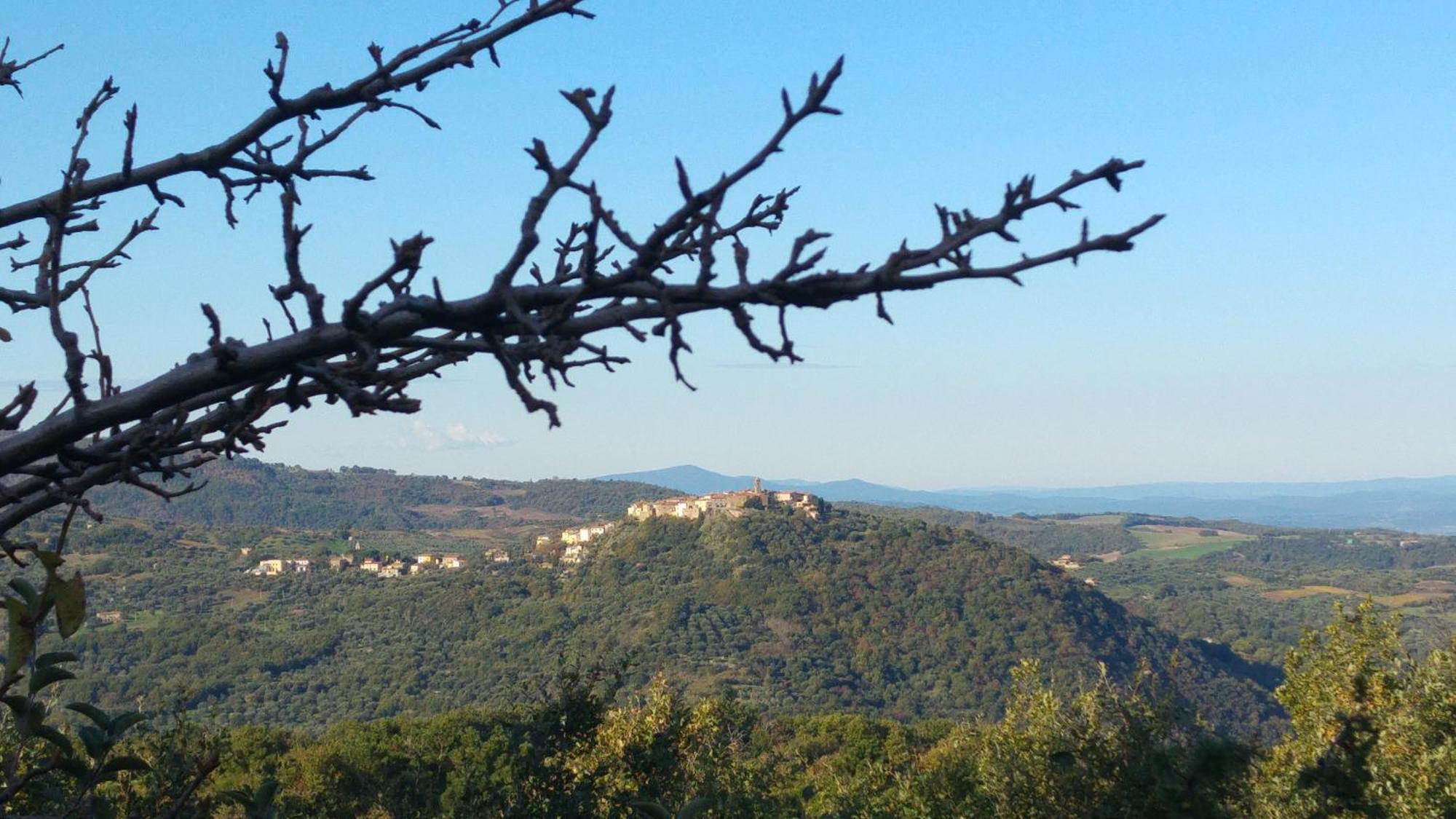 Borgo Tepolini Country House Castel del Piano  Exterior foto